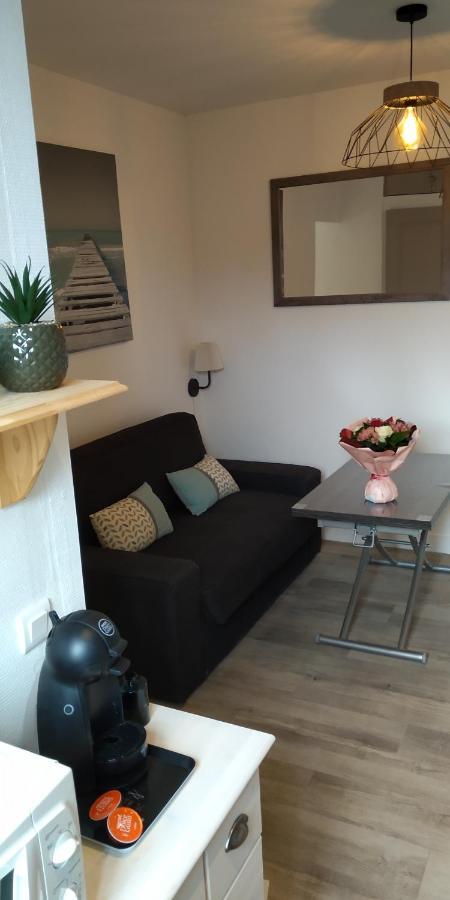 Cabourg, Hypercentre, 2 Pieces Cosy Apartment ภายนอก รูปภาพ